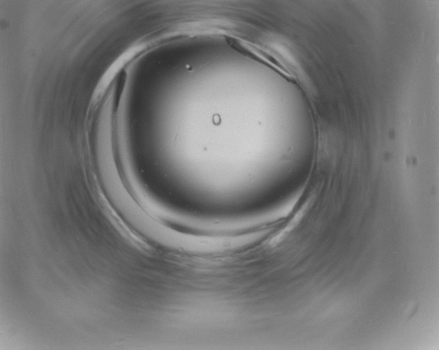 X0000060741196200511241630