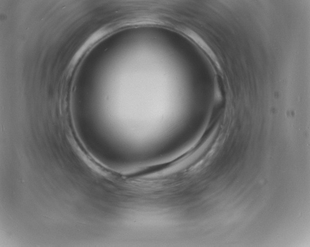 X0000060741197200511241630