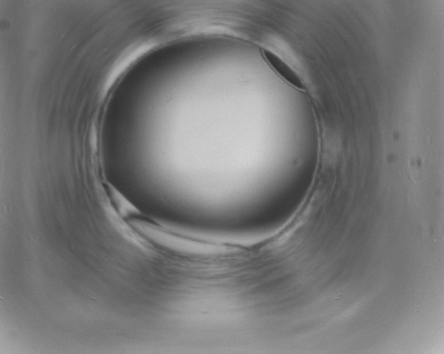 X0000060741198200511241630