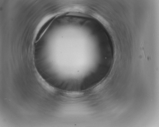 X0000060741200200511241630