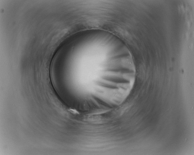 X0000060741201200511241629