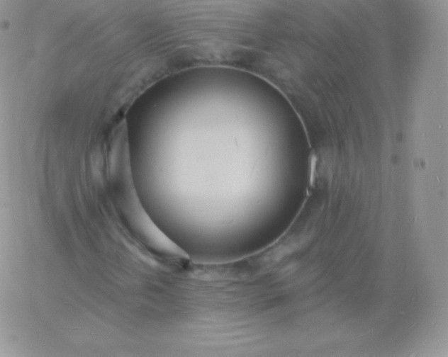 X0000060741202200511241629