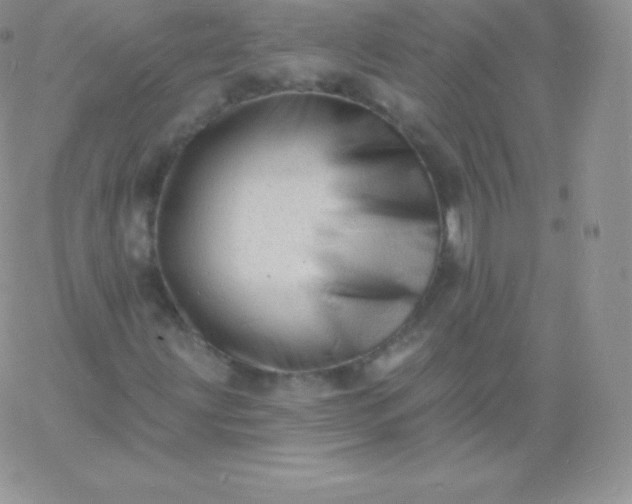 X0000060741203200511241629