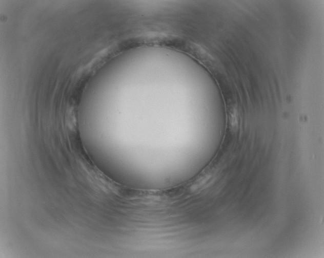 X0000060741204200511241629