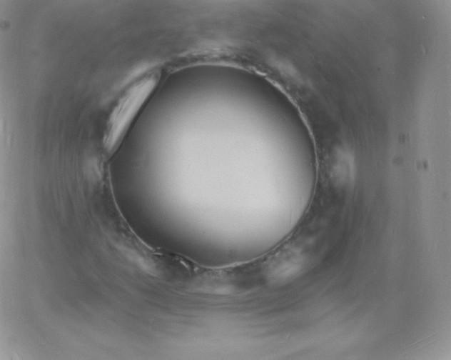 X0000060741206200511241629