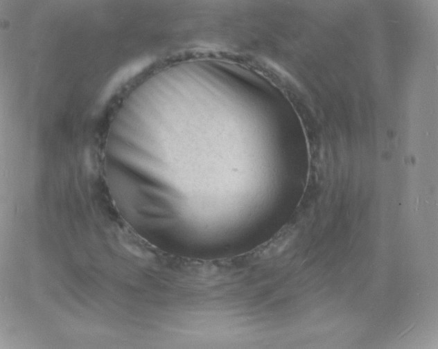 X0000060741207200511241629