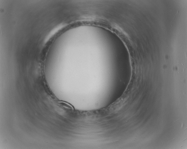 X0000060741208200511241629