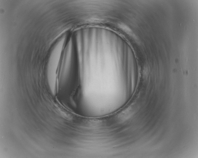 X0000060741209200511241629