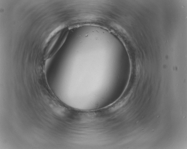 X0000060741210200511241629