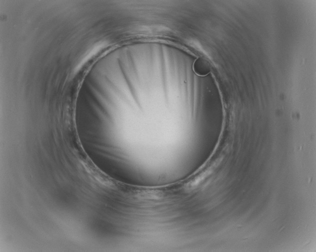 X0000060741211200511241629