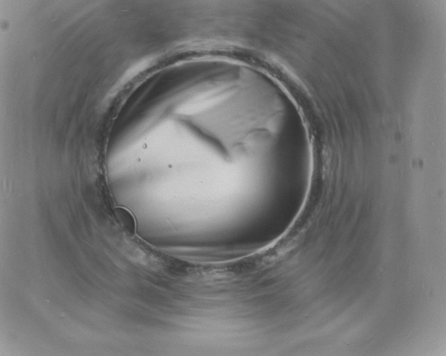 X0000060741213200511241629