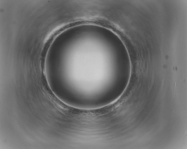 X0000060741214200511241629