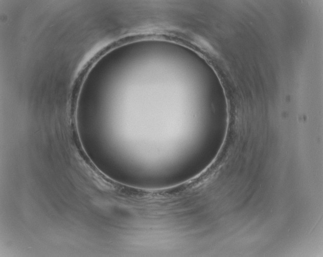 X0000060741216200511241629