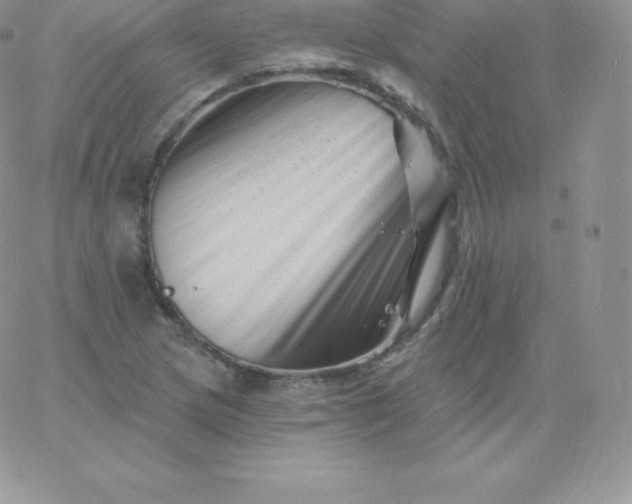 X0000060741217200511241629