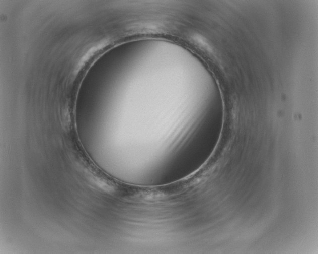 X0000060741218200511241629