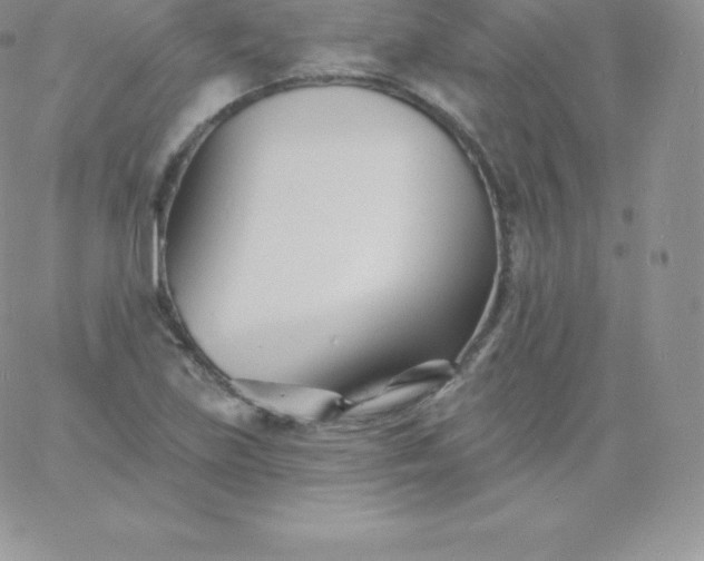 X0000060741219200511241630