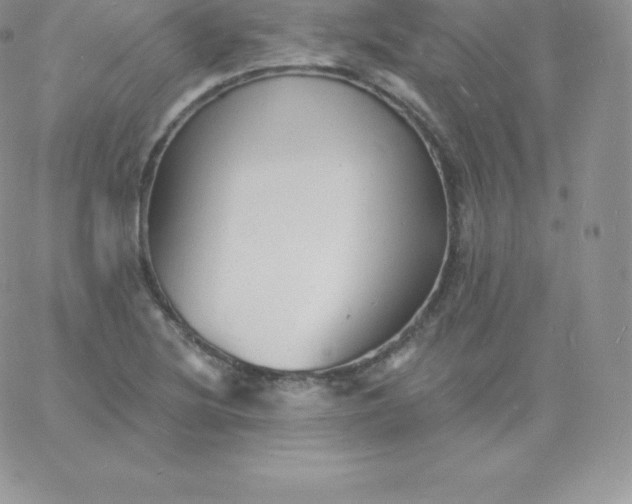 X0000060741220200511241630