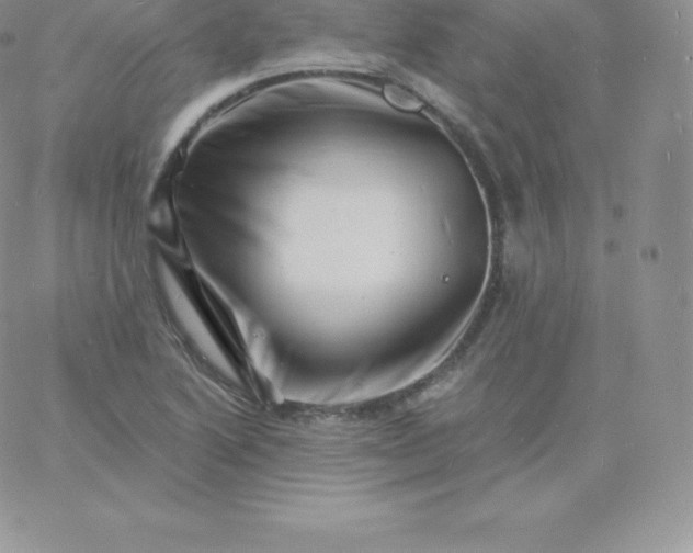 X0000060741222200511241630