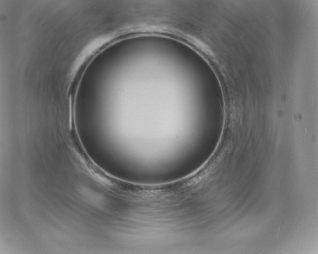 X0000060741223200511241630