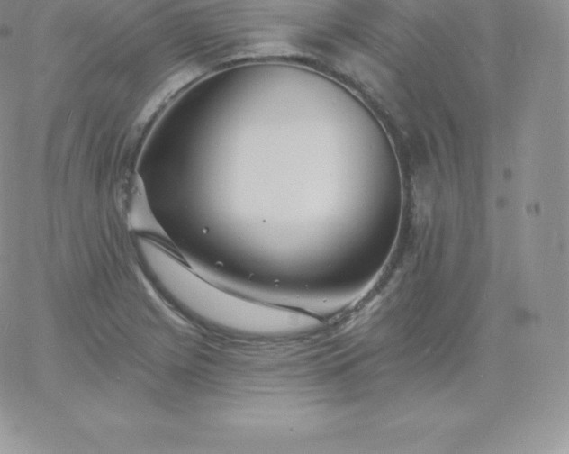 X0000060741225200511241630