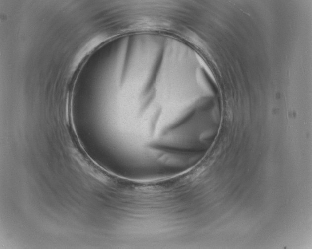 X0000060741227200511241630