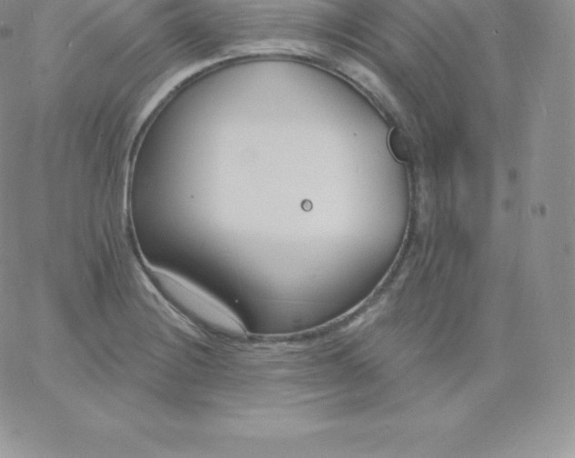 X0000060741228200511241630