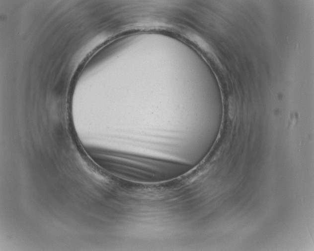 X0000060741229200511241630