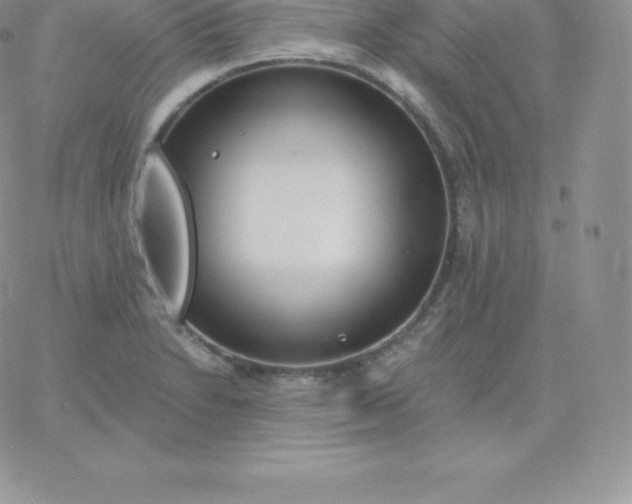 X0000060741230200511241630