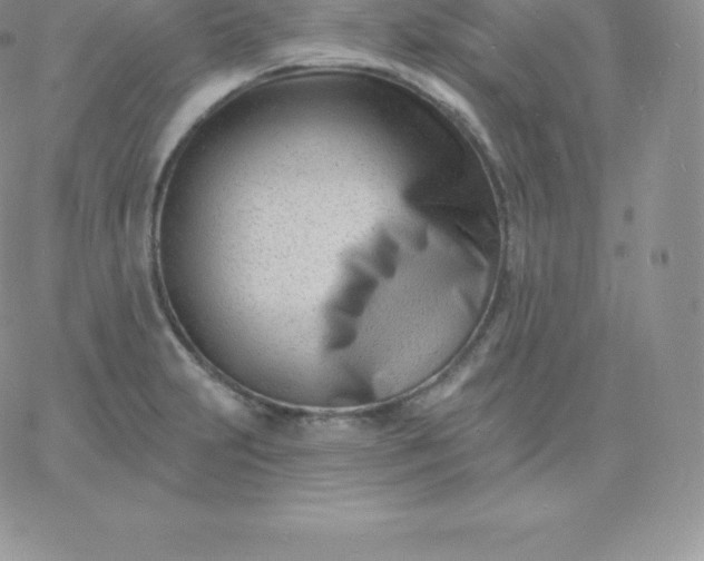 X0000060741231200511241630