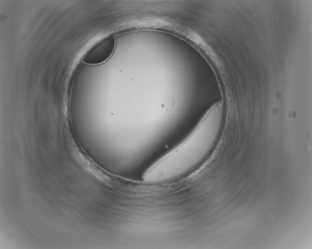 X0000060741232200511241630