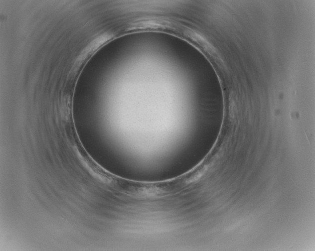 X0000060741233200511241630