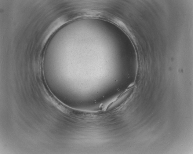 X0000060741235200511241630