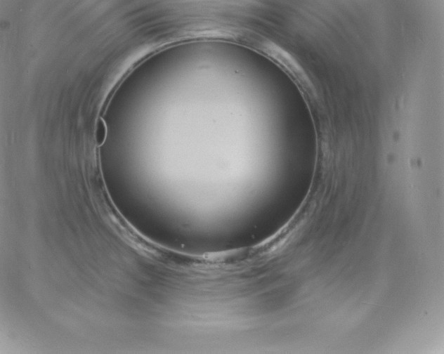 X0000060741236200511241630