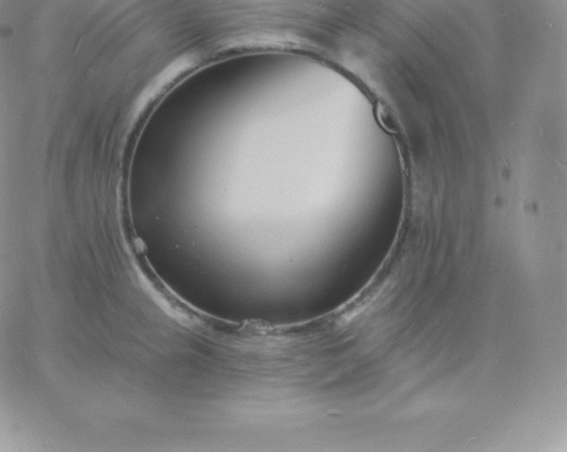 X0000060741237200511241630