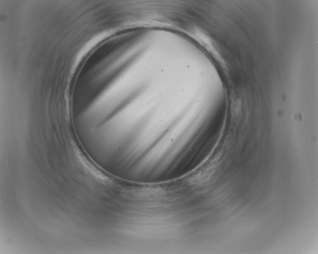 X0000060741238200511241630