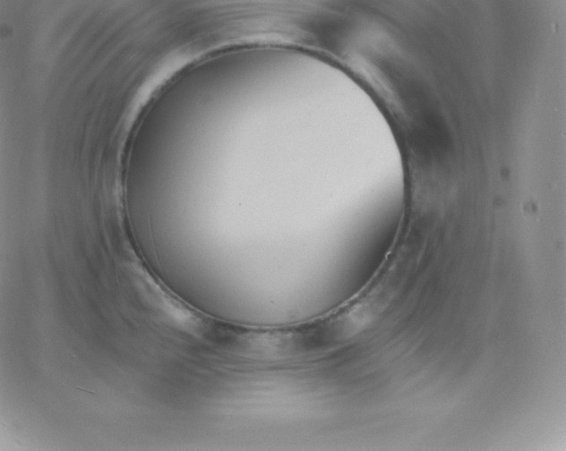 X0000060741240200511241630