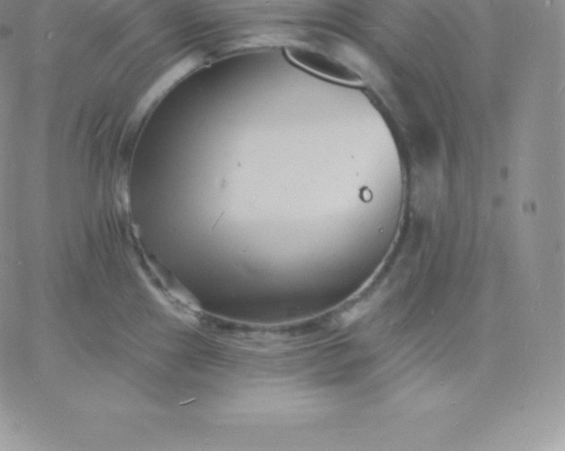 X0000060741241200511241630