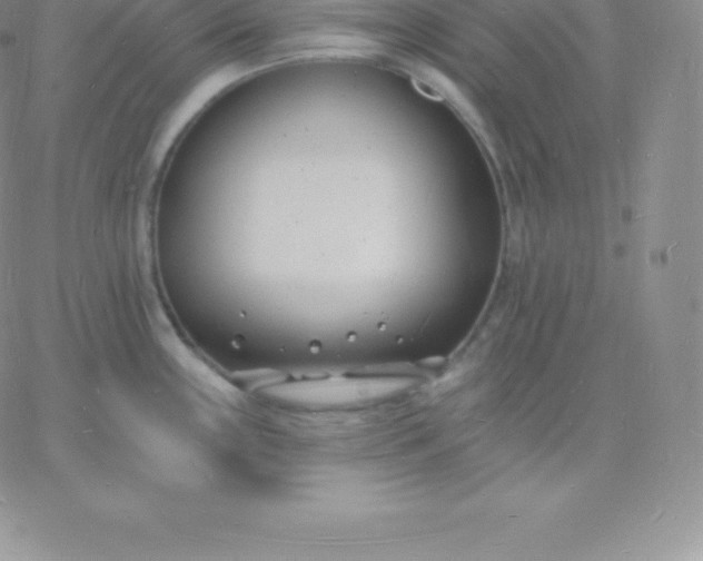 X0000060741243200511241630