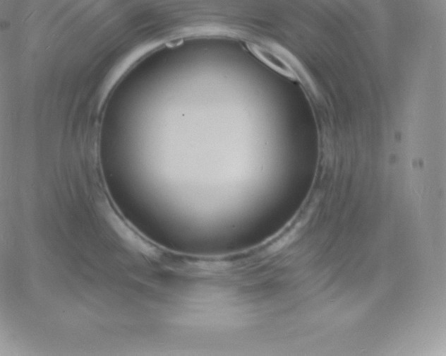 X0000060741244200511241630