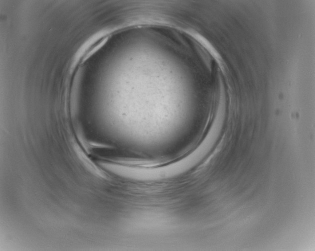 X0000060741246200511241630