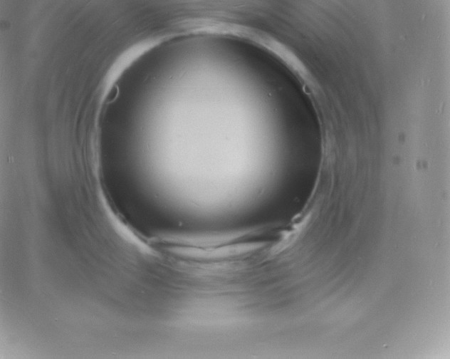 X0000060741247200511241630