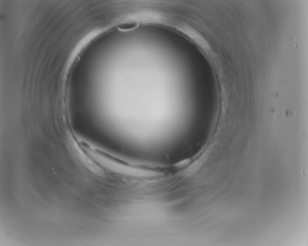 X0000060741248200511241630