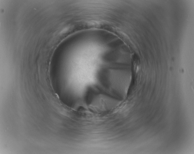 X0000060741249200511241629