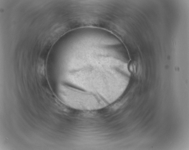 X0000060741251200511241629