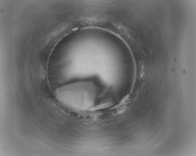 X0000060741253200511241629