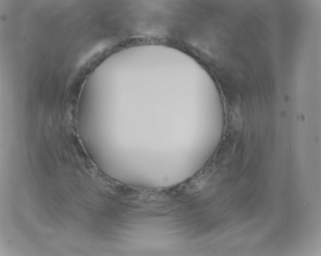 X0000060741254200511241629