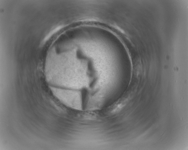 X0000060741255200511241629