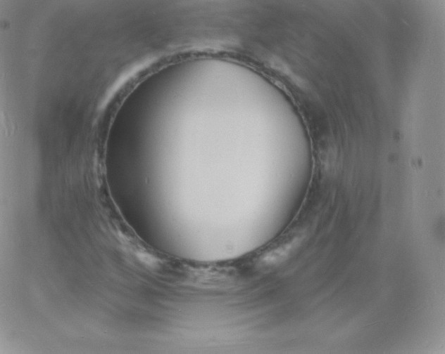 X0000060741256200511241629