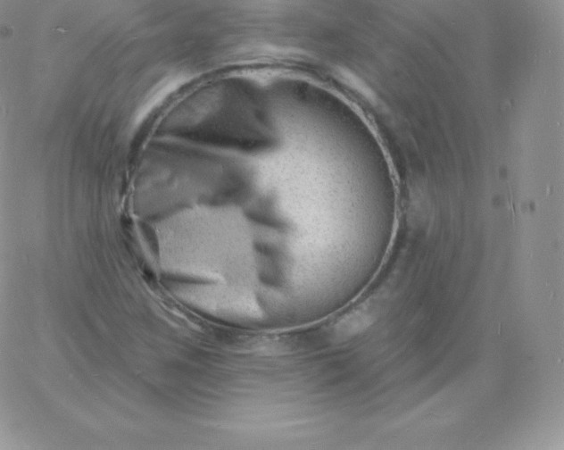 X0000060741259200511241629