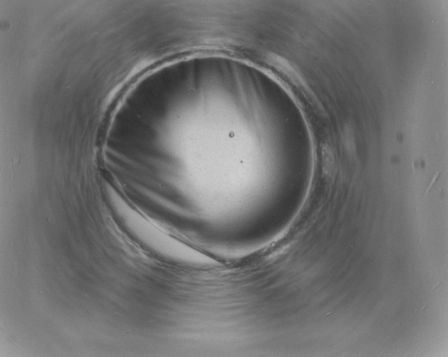 X0000060741260200511241629